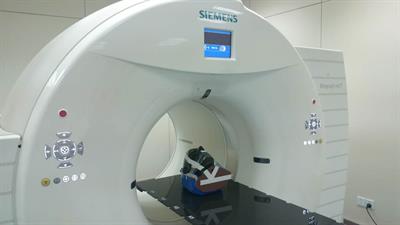 In Vivo 3-D Dose Verification Using PET/CT Images After Carbon-Ion Radiation Therapy